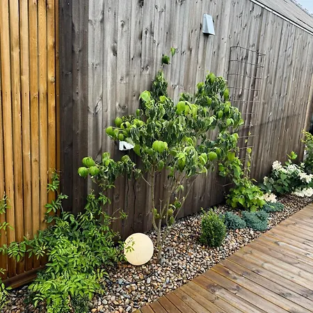 New With Boat, Large Hot Tub, Outdoor Kitchen And Garden 別荘